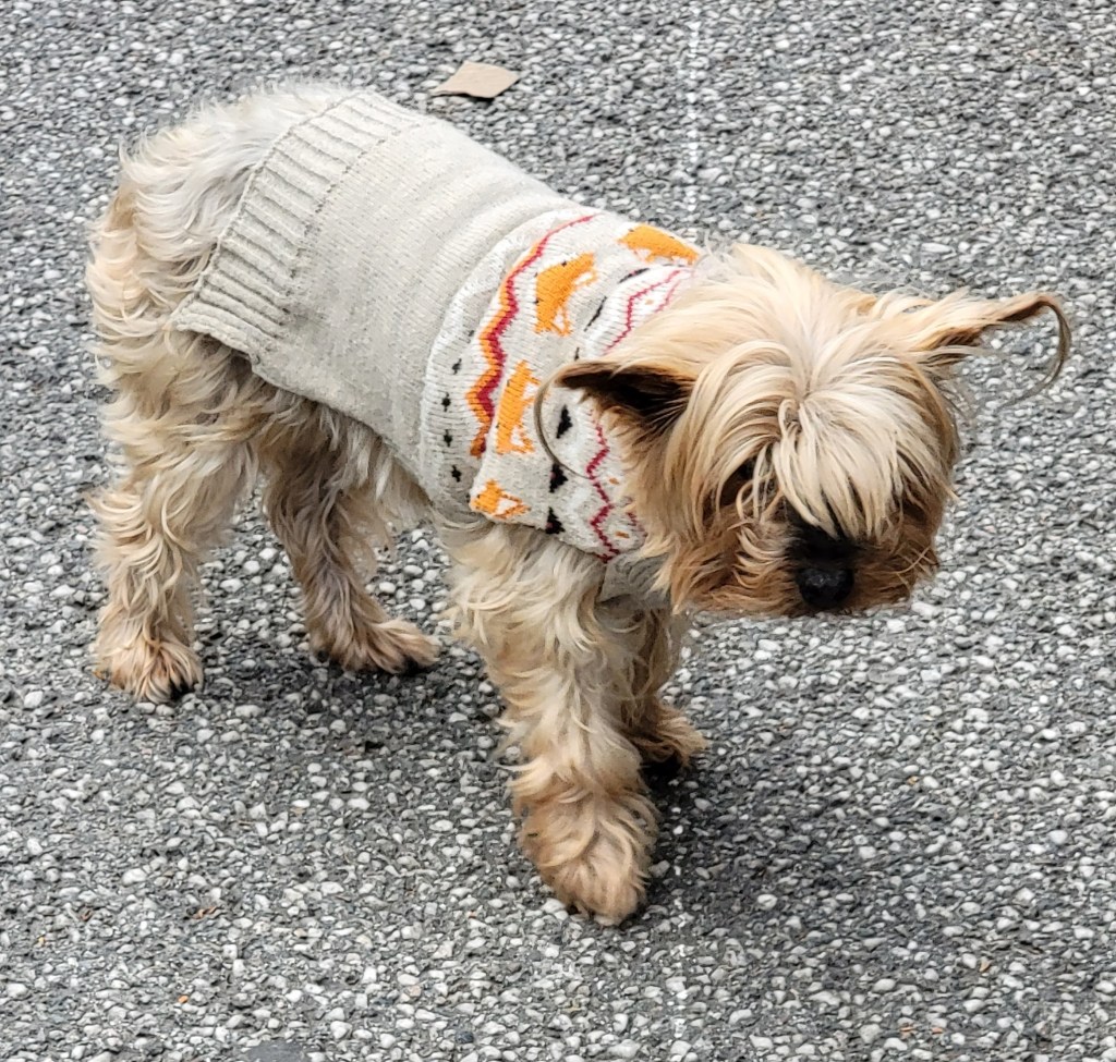 Valence on a&nbsp;Saturday