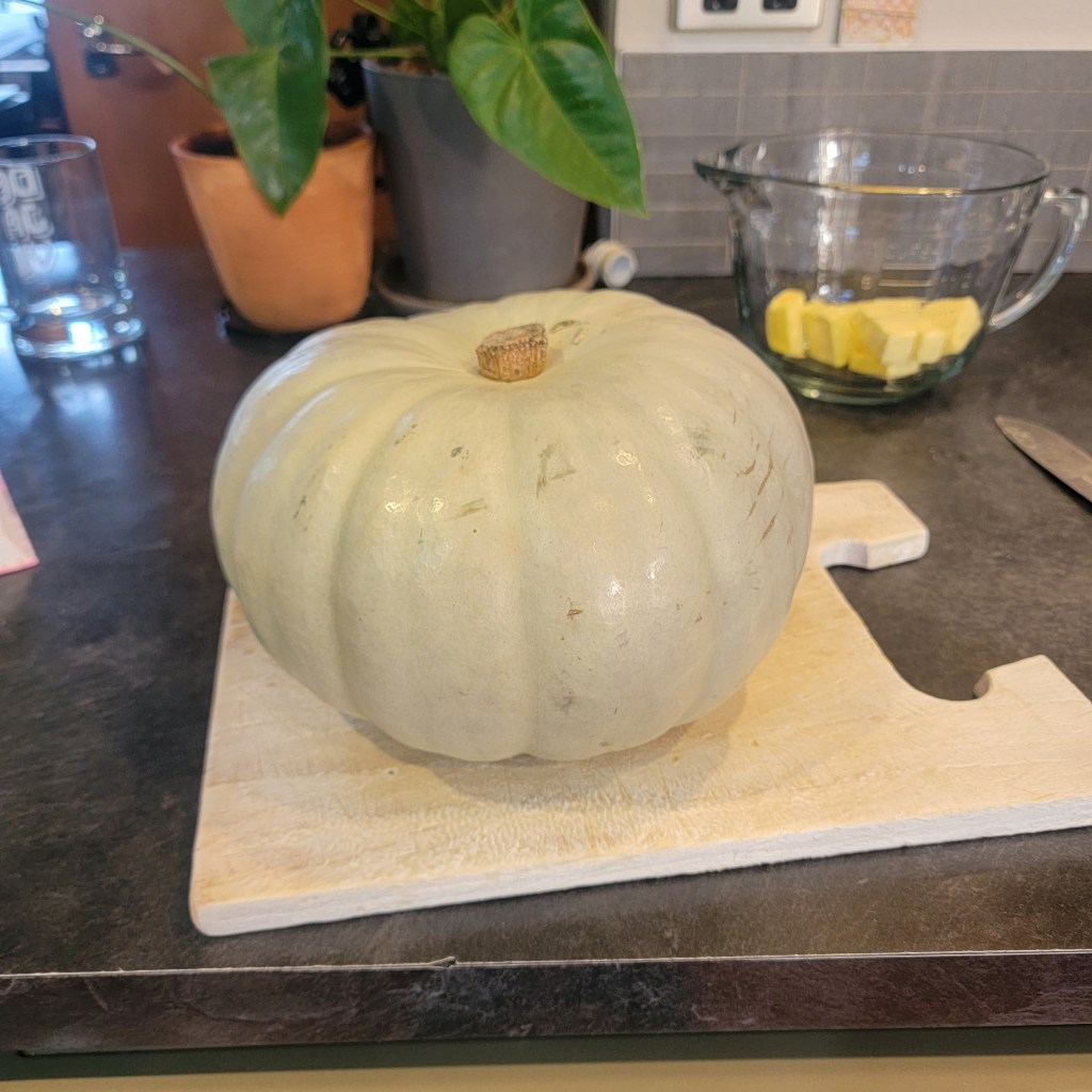My Big Pumpkin
