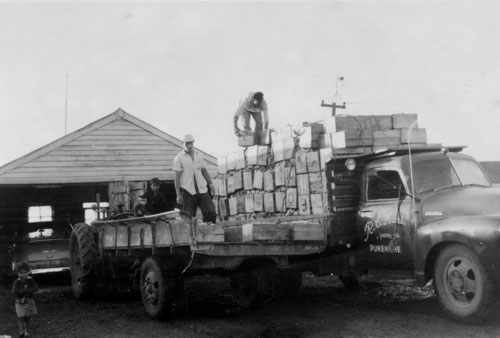 Little Boy Big&nbsp;Resilience